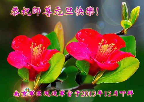 Image for article Falun Dafa Practitioners in the Chinese Military System Respectfully Wish Revered Master a Happy New Year (26 greetings) (Images)