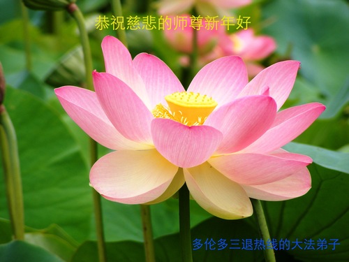 Image for article Falun Dafa Practitioners from Canada Respectfully Wish Revered Master a Happy Chinese New Year (Images)
