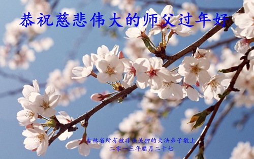 Image for article Illegally Detained Falun Dafa Practitioners in China Respectfully Wish Revered Master a Happy Chinese New Year (24 Greetings) (Images)