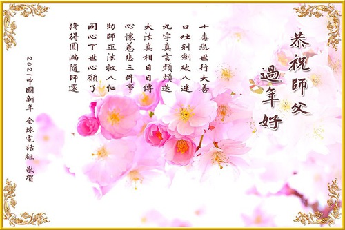 Image for article Overseas Falun Dafa Practitioners from Various Truth-clarification Projects Wish Master Li a Happy Chinese New Year