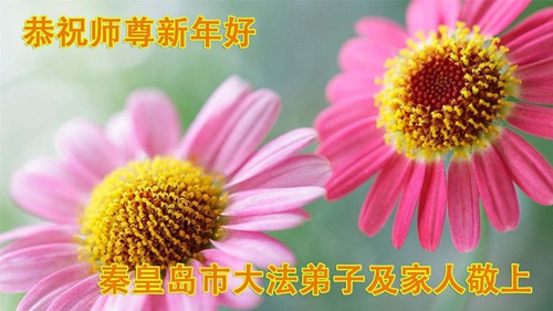 Image for article Blessed by Falun Dafa, People Across China Thank Master Li for His Compassionate Protection