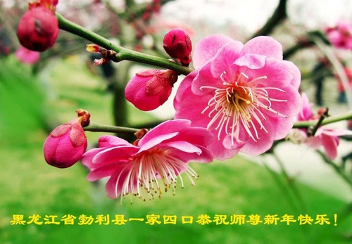 Image for article Falun Dafa Practitioners from Heilongjiang Province Respectfully Wish Master Li Hongzhi a Happy New Year (23 Greetings)