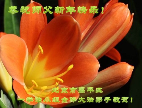 Image for article Falun Dafa Practitioners from Beijing Respectfully Wish Master Li Hongzhi a Happy New Year (26 Greetings)