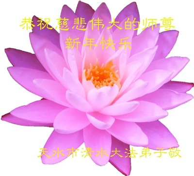 Image for article Falun Dafa Practitioners from Gansu Province Respectfully Wish Master Li Hongzhi a Happy New Year (28 Greetings)