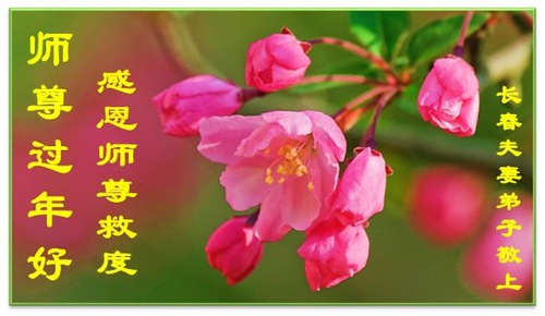 Image for article Falun Dafa Practitioners from Changchun City Respectfully Wish Master Li Hongzhi a Happy Chinese New Year (23 Greetings)