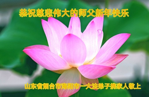 Image for article Falun Dafa Practitioners from Shandong Province Respectfully Wish Master Li Hongzhi a Happy Chinese New Year (18 Greetings)