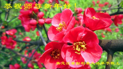 Image for article Falun Dafa Practitioners from Heilongjiang Province Respectfully Wish Master Li Hongzhi a Happy New Year (24 Greetings)