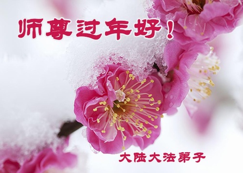 Image for article New Year Greetings to Master: “We Will Remain Diligent in Cultivation Practice”