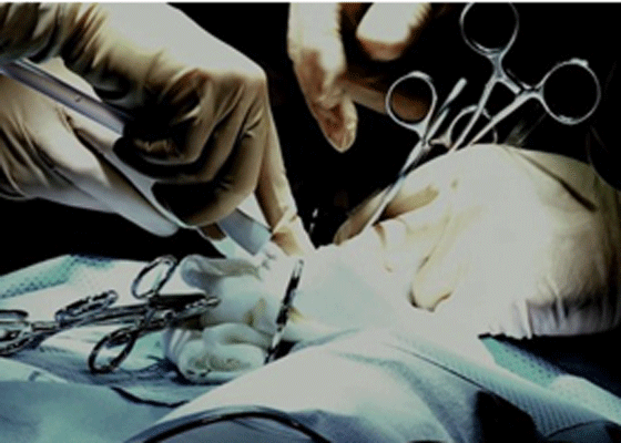 Image for article New U.K. Law to Stop Live Organ Harvesting Takes Effect