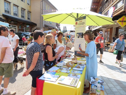 Image for article France: Activities Held in Three Cities to Expose Persecution of Falun Dafa in China