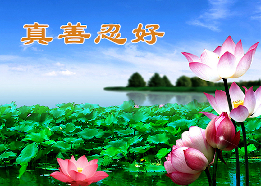 Image for article Taiwan: Website Readers Express Appreciation for Articles Celebrating World Falun Dafa Day