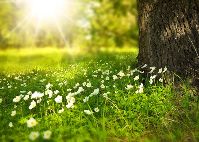Image for article Compassion Changes Everything