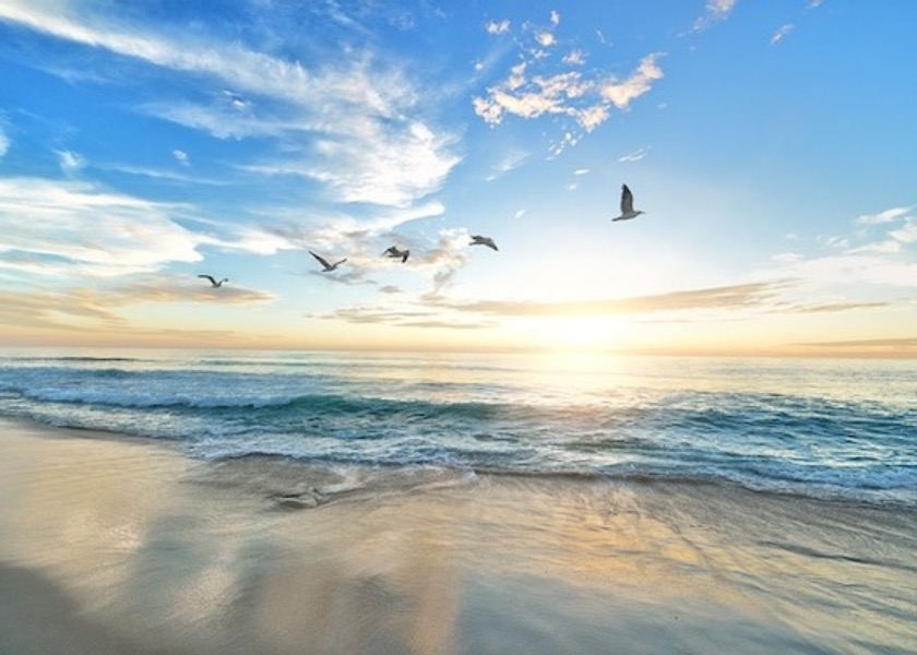 Image for article Master Saved My Husband from Drowning in the Stormy Sea