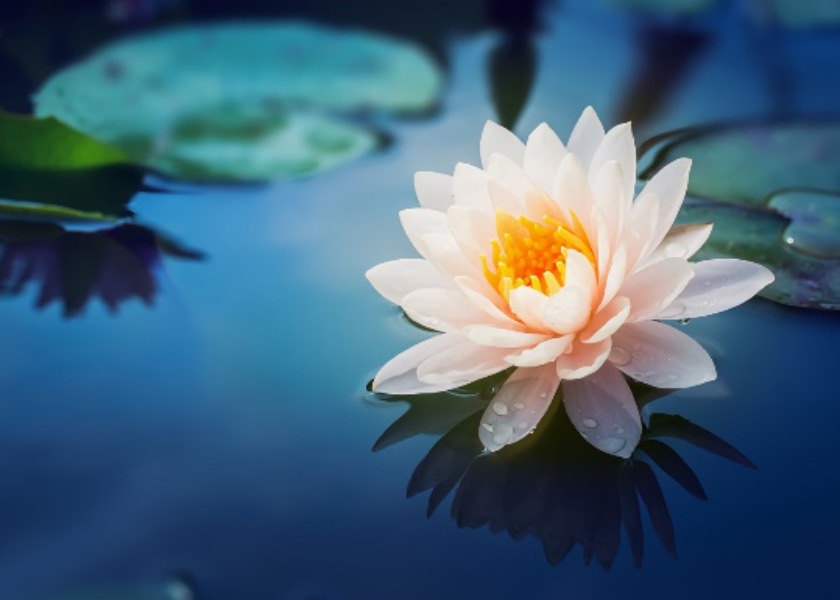 Image for article Master Li Gave Me a Master Key