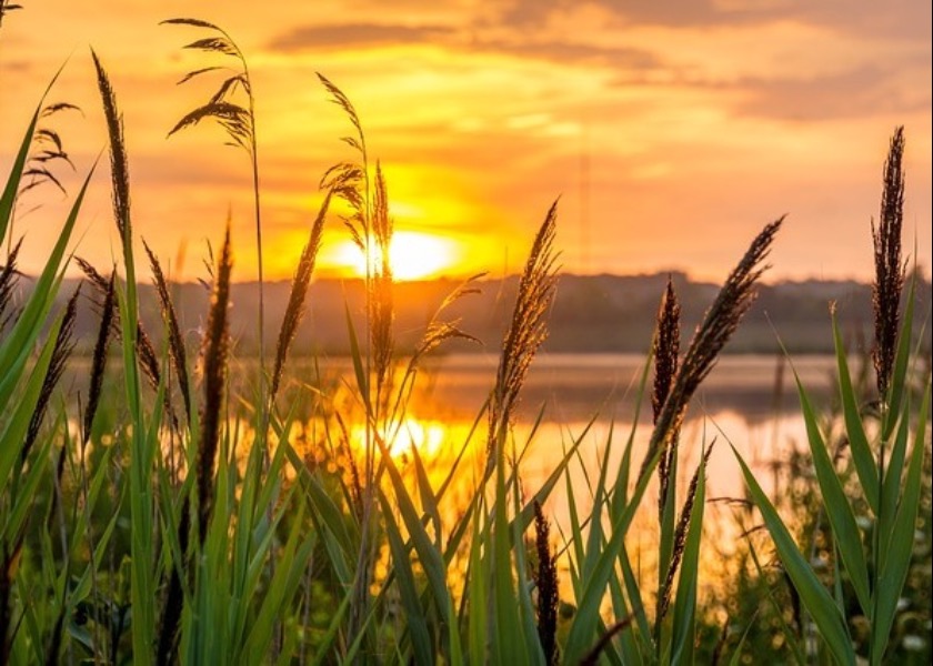 Image for article These Nine Words Are Effective