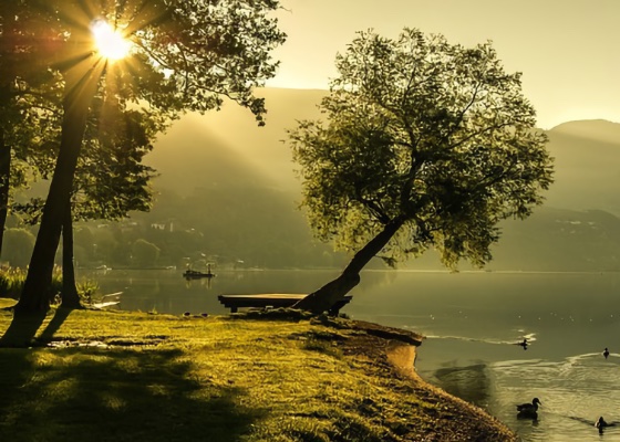 Image for article Joy After Being Saved