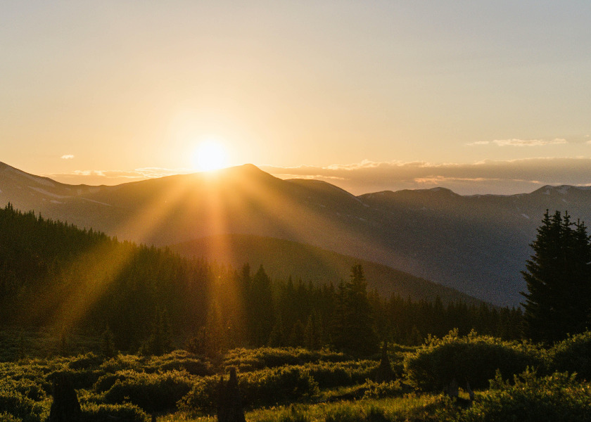 Image for article Long-Standing Grievances Between My Mother-in-Law and Me Were Finally Resolved