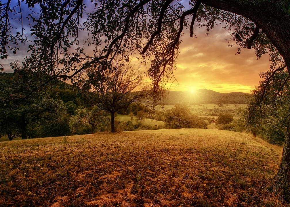 Image for article A High School Student’s Cultivation Journey