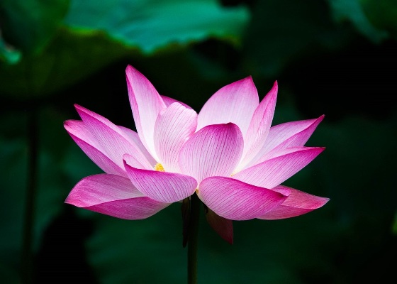 Image for article I Discovered My Attachments After My Father Was Swindled