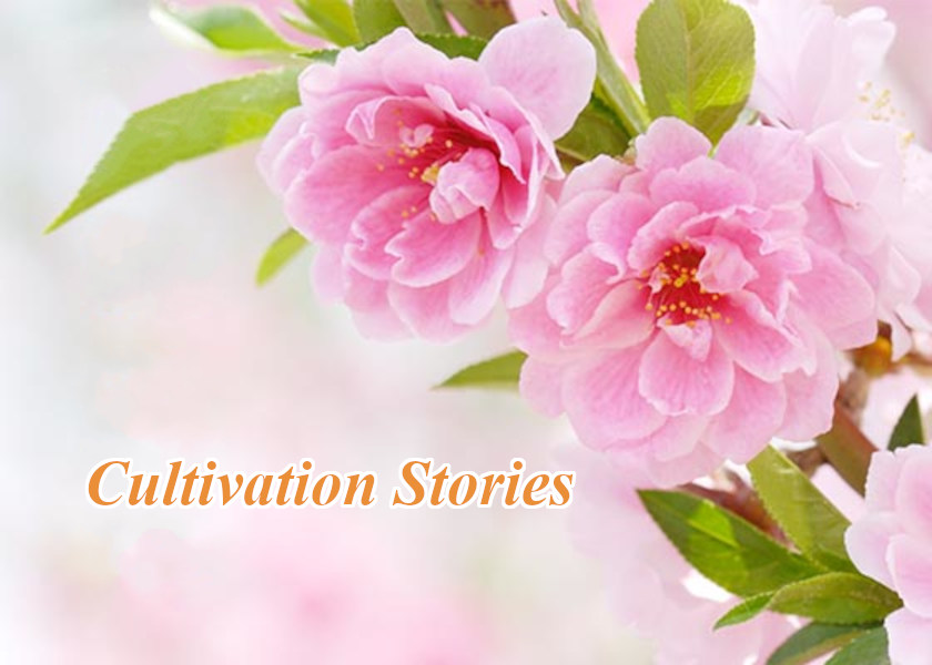 Image for article Falun Dafa Teaches Me To Be a Kind Person