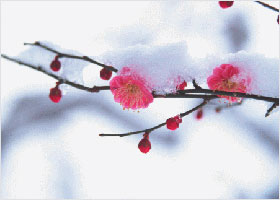 Image for article Blind Girl Truly Cultivates in Dafa and Helps More People